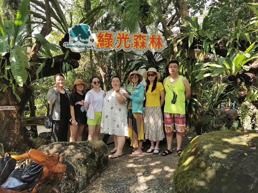 出发在鸿成，畅爽泰国游(图2)