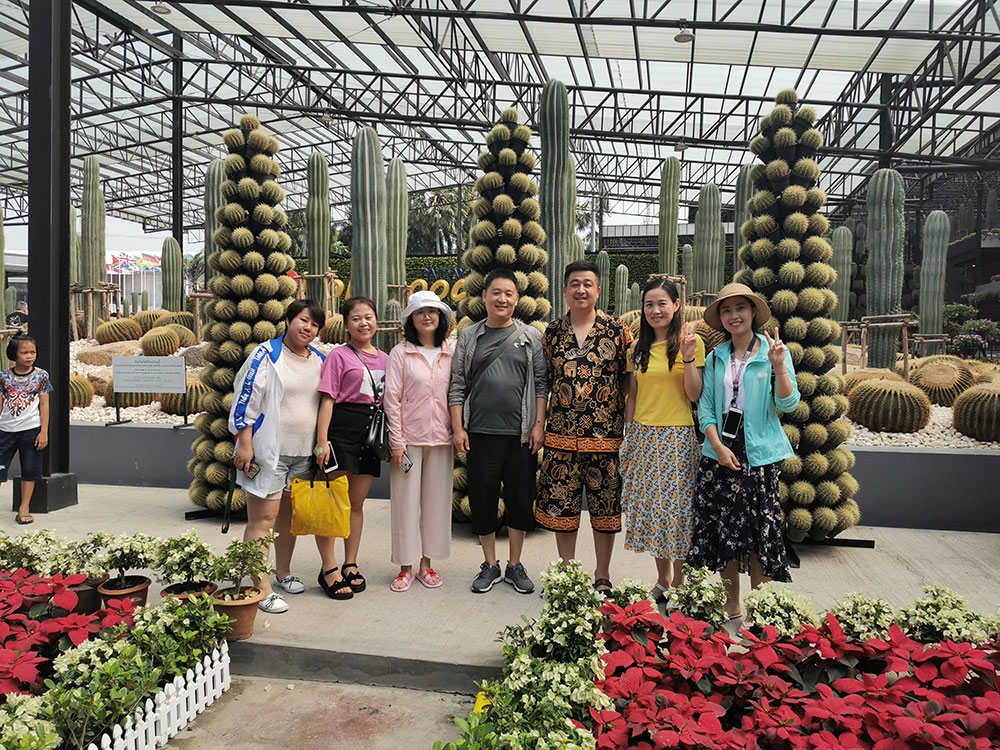 出发在鸿成，畅爽泰国游(图3)